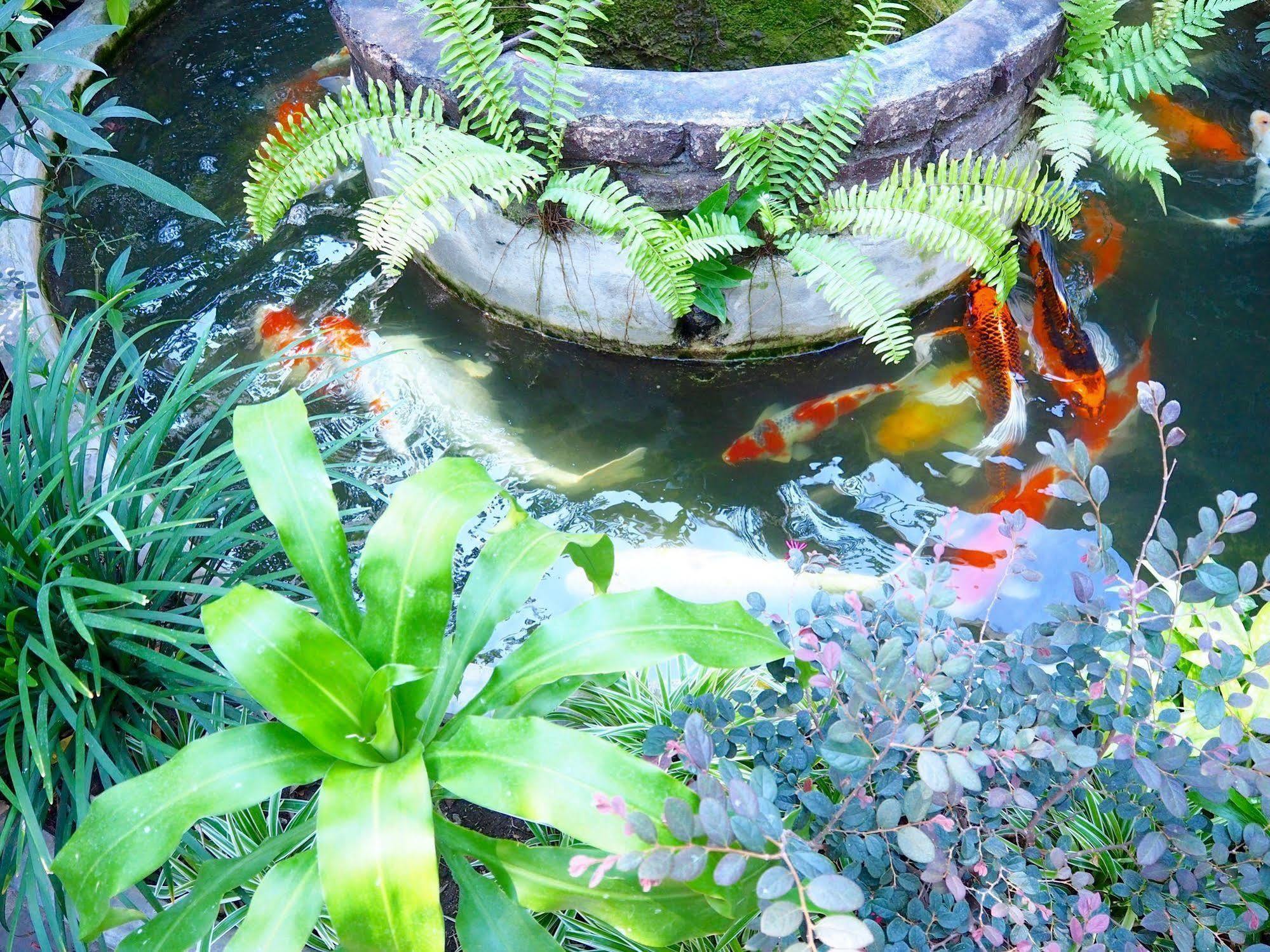 Stay With Me Guest House Chiang Mai Ngoại thất bức ảnh